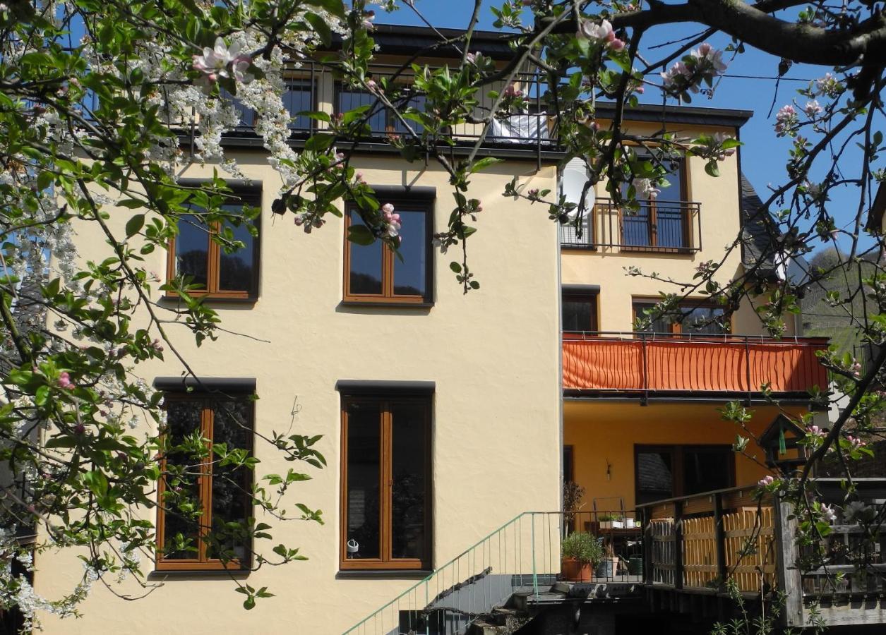Ferienwohnung Ellebett Mueden ภายนอก รูปภาพ